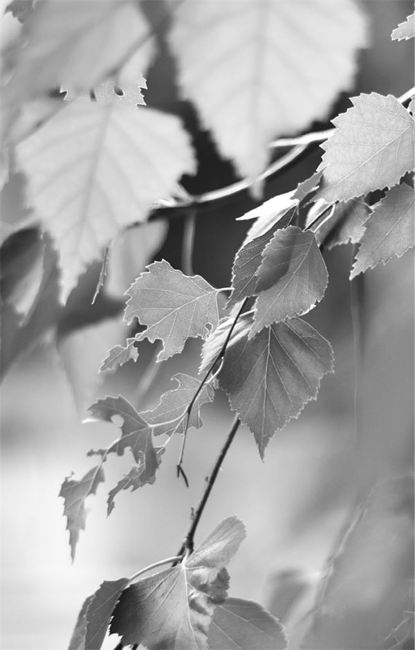 Иллюстрация к книге — 99 секретов физики [i_039.jpg]