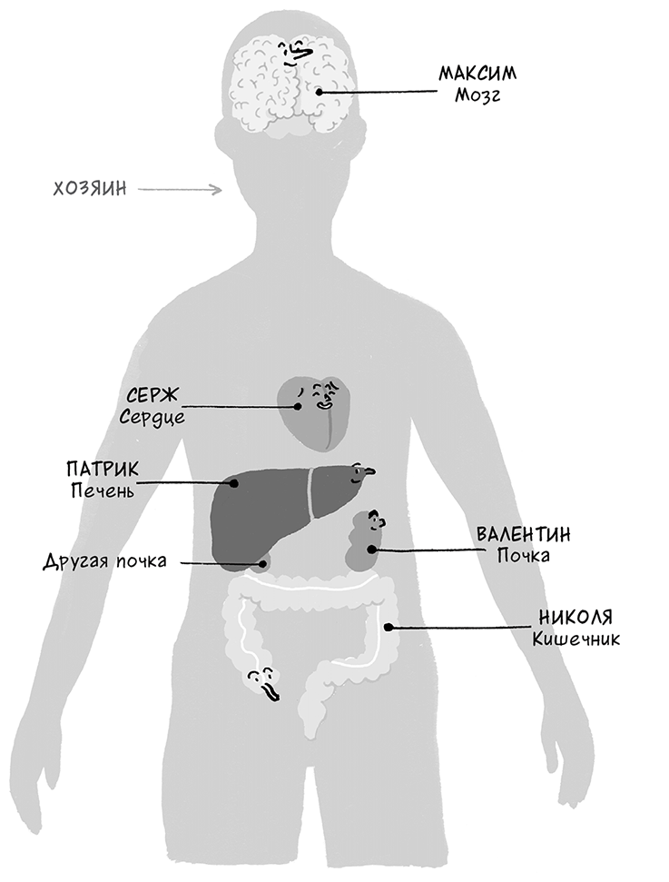 Иллюстрация к книге — Необыкновенные способности почки. Как сберечь здоровье важнейших органов надолго [i_003.jpg]