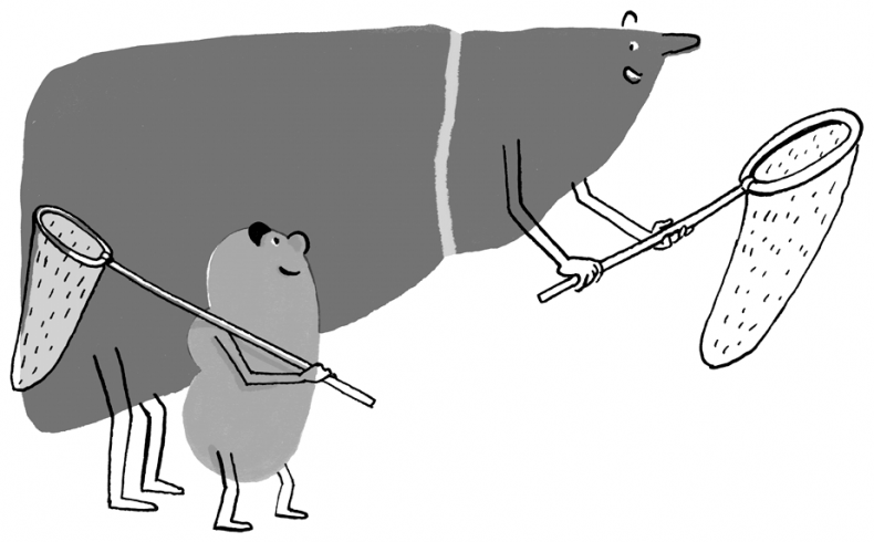 Иллюстрация к книге — Необыкновенные способности почки. Как сберечь здоровье важнейших органов надолго [i_007.jpg]