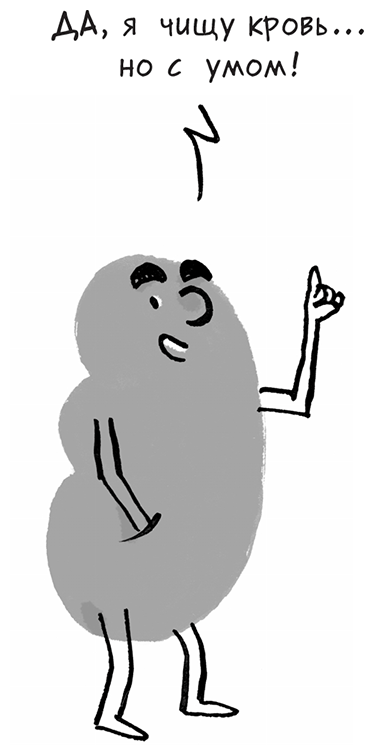 Иллюстрация к книге — Необыкновенные способности почки. Как сберечь здоровье важнейших органов надолго [i_013.jpg]