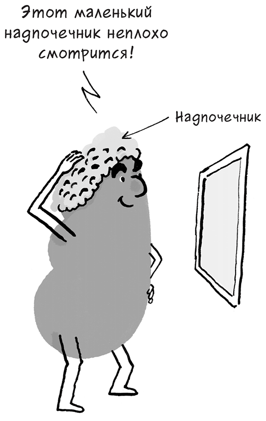 Иллюстрация к книге — Необыкновенные способности почки. Как сберечь здоровье важнейших органов надолго [i_017.jpg]