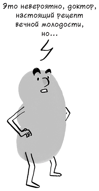 Иллюстрация к книге — Необыкновенные способности почки. Как сберечь здоровье важнейших органов надолго [i_030.jpg]