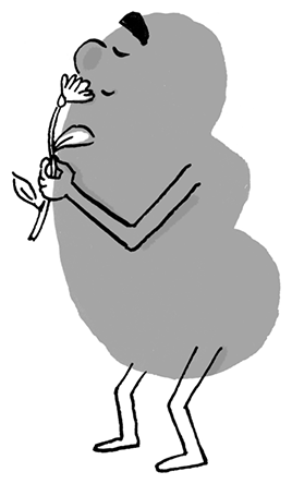 Иллюстрация к книге — Необыкновенные способности почки. Как сберечь здоровье важнейших органов надолго [i_039.jpg]