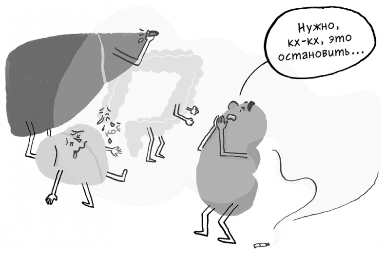 Иллюстрация к книге — Необыкновенные способности почки. Как сберечь здоровье важнейших органов надолго [i_040.jpg]