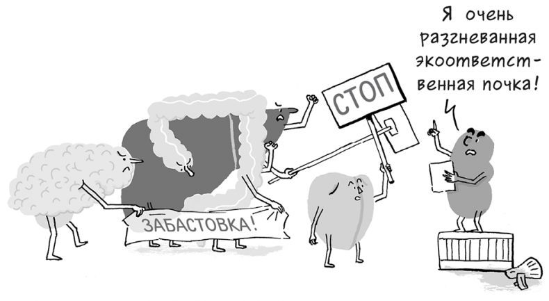 Иллюстрация к книге — Необыкновенные способности почки. Как сберечь здоровье важнейших органов надолго [i_042.jpg]