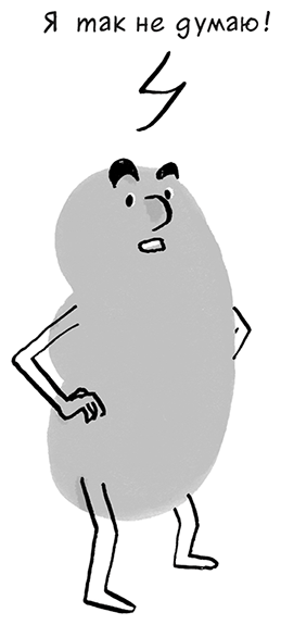 Иллюстрация к книге — Необыкновенные способности почки. Как сберечь здоровье важнейших органов надолго [i_046.jpg]