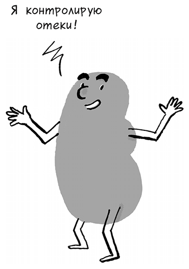 Иллюстрация к книге — Необыкновенные способности почки. Как сберечь здоровье важнейших органов надолго [i_055.jpg]