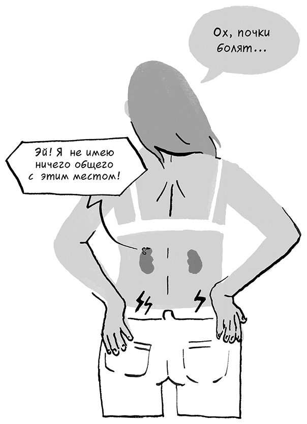 Иллюстрация к книге — Необыкновенные способности почки. Как сберечь здоровье важнейших органов надолго [i_060.jpg]