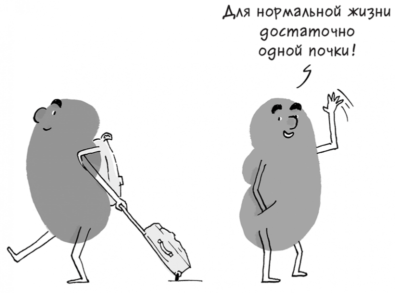 Иллюстрация к книге — Необыкновенные способности почки. Как сберечь здоровье важнейших органов надолго [i_063.jpg]