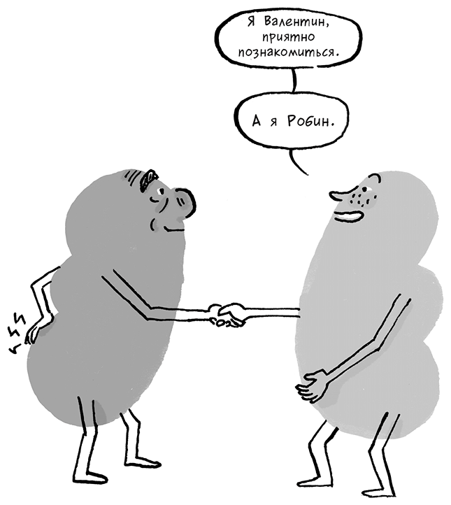 Иллюстрация к книге — Необыкновенные способности почки. Как сберечь здоровье важнейших органов надолго [i_065.jpg]