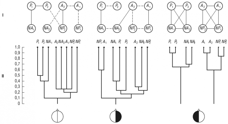 Иллюстрация к книге — Чеширская улыбка кота Шрёдингера: мозг, язык и сознание [i_052.jpg]