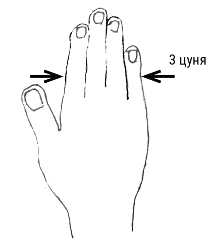 Иллюстрация к книге — Большой самоучитель исцеляющих точек. Подробный атлас, приемы и упражнения [i_002.jpg]