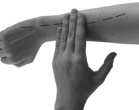 Иллюстрация к книге — Большой самоучитель исцеляющих точек. Подробный атлас, приемы и упражнения [i_005.jpg]