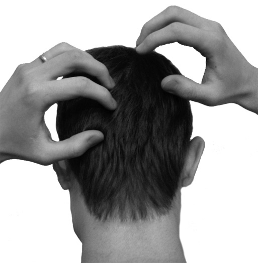 Иллюстрация к книге — Большой самоучитель исцеляющих точек. Подробный атлас, приемы и упражнения [i_010.jpg]