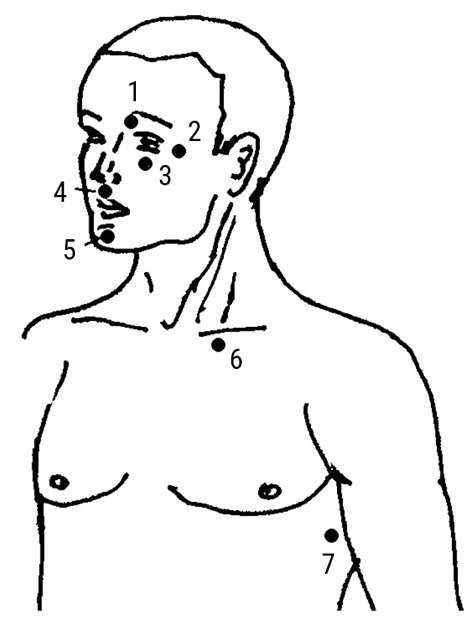 Иллюстрация к книге — Большой самоучитель исцеляющих точек. Подробный атлас, приемы и упражнения [i_011.jpg]