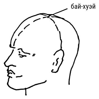 Иллюстрация к книге — Большой самоучитель исцеляющих точек. Подробный атлас, приемы и упражнения [i_012.jpg]