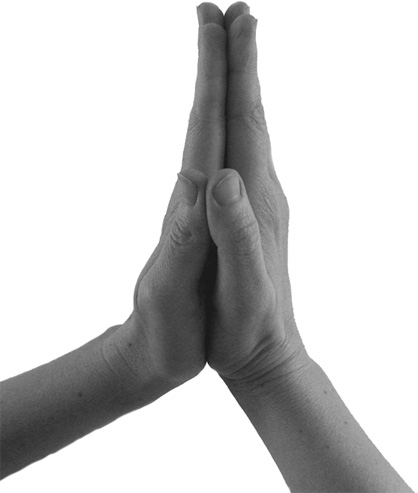 Иллюстрация к книге — Большой самоучитель исцеляющих точек. Подробный атлас, приемы и упражнения [i_014.jpg]