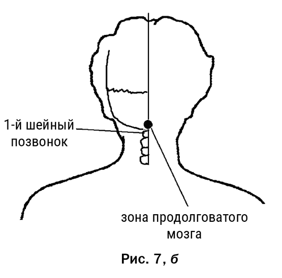 Иллюстрация к книге — Большой самоучитель исцеляющих точек. Подробный атлас, приемы и упражнения [i_021.jpg]
