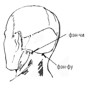 Иллюстрация к книге — Большой самоучитель исцеляющих точек. Подробный атлас, приемы и упражнения [i_026.jpg]