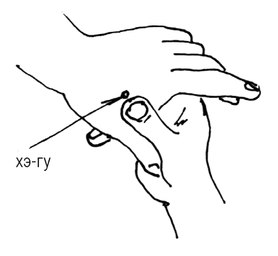 Иллюстрация к книге — Большой самоучитель исцеляющих точек. Подробный атлас, приемы и упражнения [i_027.jpg]