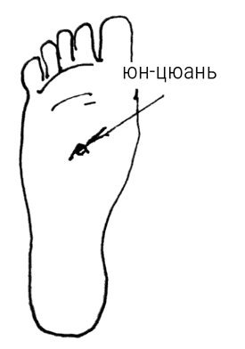 Иллюстрация к книге — Большой самоучитель исцеляющих точек. Подробный атлас, приемы и упражнения [i_029.jpg]