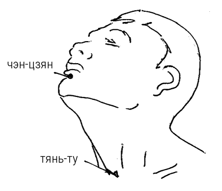 Иллюстрация к книге — Большой самоучитель исцеляющих точек. Подробный атлас, приемы и упражнения [i_033.jpg]