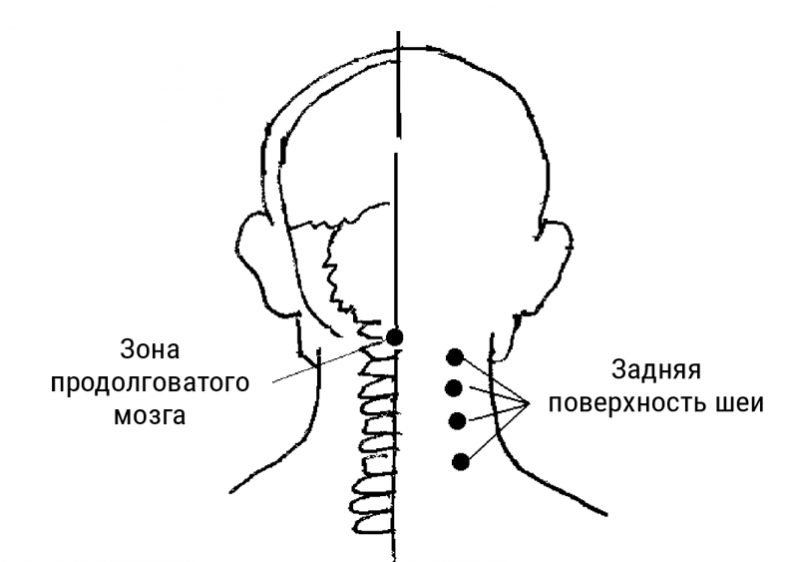 Иллюстрация к книге — Большой самоучитель исцеляющих точек. Подробный атлас, приемы и упражнения [i_036.jpg]