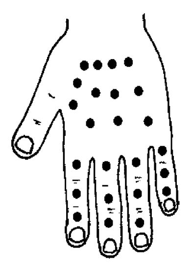 Иллюстрация к книге — Большой самоучитель исцеляющих точек. Подробный атлас, приемы и упражнения [i_049.jpg]