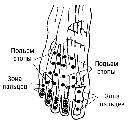 Иллюстрация к книге — Большой самоучитель исцеляющих точек. Подробный атлас, приемы и упражнения [i_056.jpg]