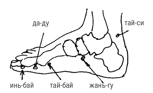 Иллюстрация к книге — Большой самоучитель исцеляющих точек. Подробный атлас, приемы и упражнения [i_071.jpg]