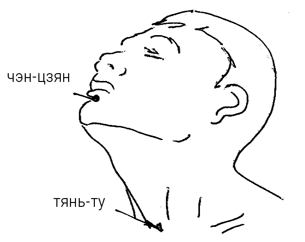 Иллюстрация к книге — Большой самоучитель исцеляющих точек. Подробный атлас, приемы и упражнения [i_080.jpg]