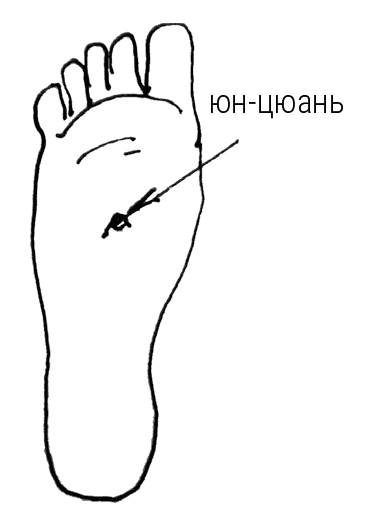 Иллюстрация к книге — Большой самоучитель исцеляющих точек. Подробный атлас, приемы и упражнения [i_085.jpg]