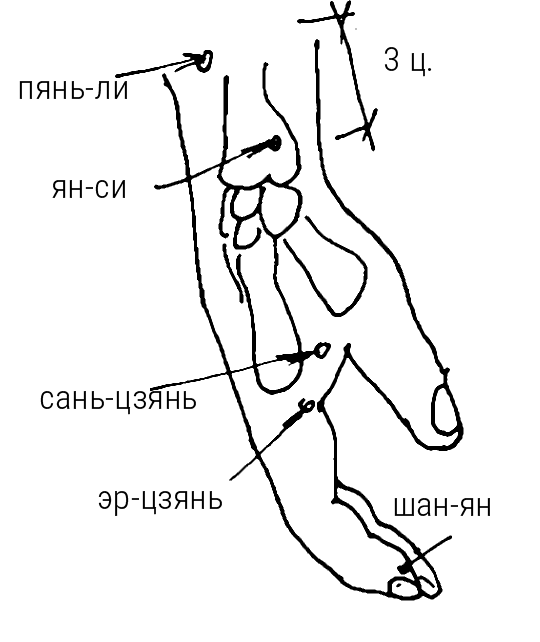 Иллюстрация к книге — Большой самоучитель исцеляющих точек. Подробный атлас, приемы и упражнения [i_086.jpg]