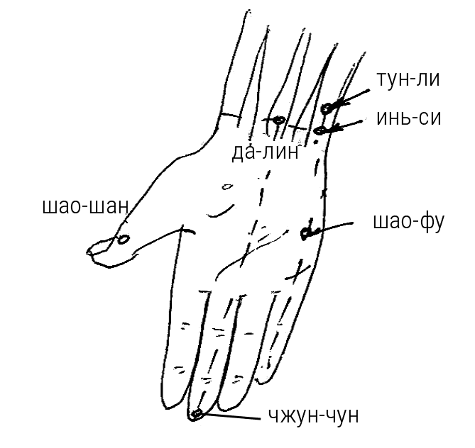 Иллюстрация к книге — Большой самоучитель исцеляющих точек. Подробный атлас, приемы и упражнения [i_087.jpg]