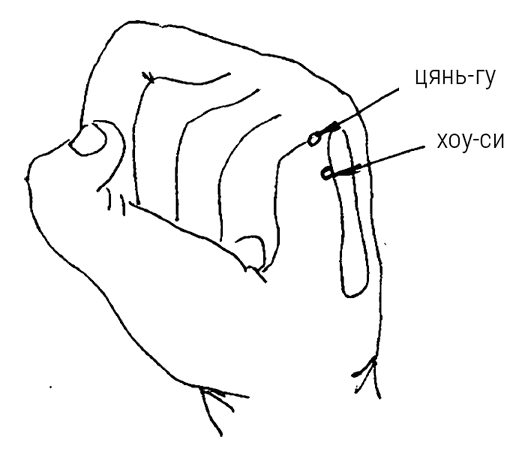 Иллюстрация к книге — Большой самоучитель исцеляющих точек. Подробный атлас, приемы и упражнения [i_088.jpg]