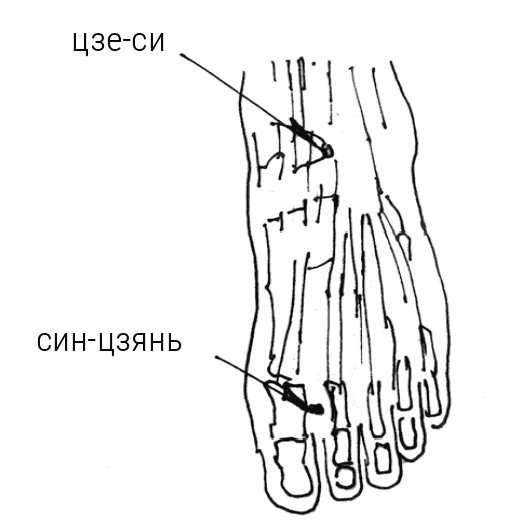 Иллюстрация к книге — Большой самоучитель исцеляющих точек. Подробный атлас, приемы и упражнения [i_092.jpg]