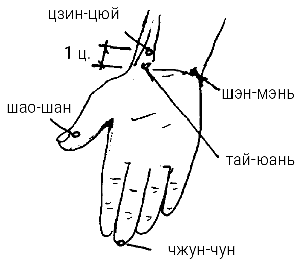 Иллюстрация к книге — Большой самоучитель исцеляющих точек. Подробный атлас, приемы и упражнения [i_093.jpg]