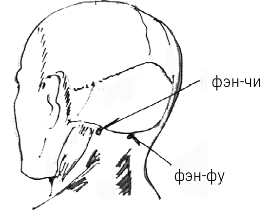 Иллюстрация к книге — Большой самоучитель исцеляющих точек. Подробный атлас, приемы и упражнения [i_094.jpg]