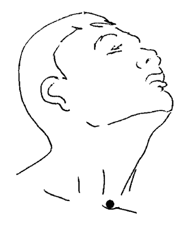 Иллюстрация к книге — Большой самоучитель исцеляющих точек. Подробный атлас, приемы и упражнения [i_108.jpg]