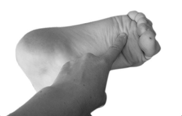 Иллюстрация к книге — Большой самоучитель исцеляющих точек. Подробный атлас, приемы и упражнения [i_117.jpg]