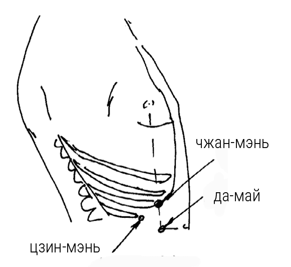Иллюстрация к книге — Большой самоучитель исцеляющих точек. Подробный атлас, приемы и упражнения [i_123.jpg]