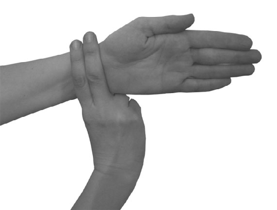 Иллюстрация к книге — Большой самоучитель исцеляющих точек. Подробный атлас, приемы и упражнения [i_126.jpg]