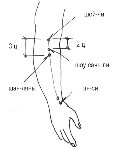 Иллюстрация к книге — Большой самоучитель исцеляющих точек. Подробный атлас, приемы и упражнения [i_131.jpg]