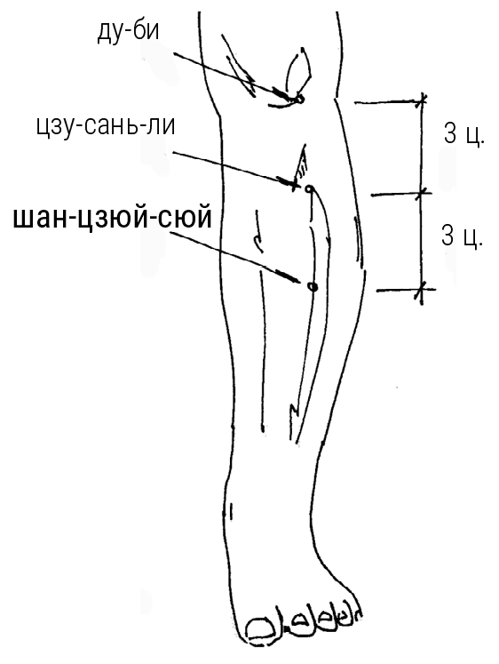 Иллюстрация к книге — Большой самоучитель исцеляющих точек. Подробный атлас, приемы и упражнения [i_139.jpg]