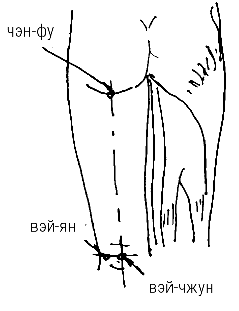 Иллюстрация к книге — Большой самоучитель исцеляющих точек. Подробный атлас, приемы и упражнения [i_144.jpg]