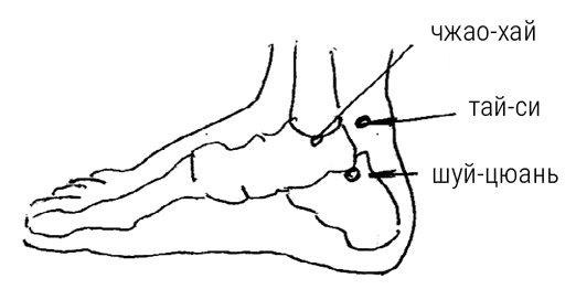 Иллюстрация к книге — Большой самоучитель исцеляющих точек. Подробный атлас, приемы и упражнения [i_160.jpg]