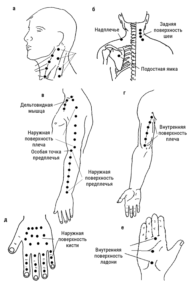 Иллюстрация к книге — Большой самоучитель исцеляющих точек. Подробный атлас, приемы и упражнения [i_165.jpg]