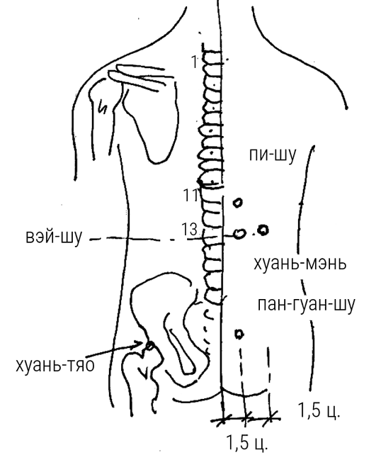 Иллюстрация к книге — Большой самоучитель исцеляющих точек. Подробный атлас, приемы и упражнения [i_180.jpg]