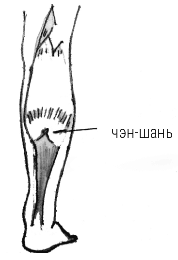 Иллюстрация к книге — Большой самоучитель исцеляющих точек. Подробный атлас, приемы и упражнения [i_181.jpg]