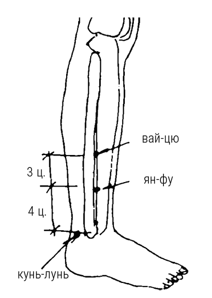 Иллюстрация к книге — Большой самоучитель исцеляющих точек. Подробный атлас, приемы и упражнения [i_184.jpg]